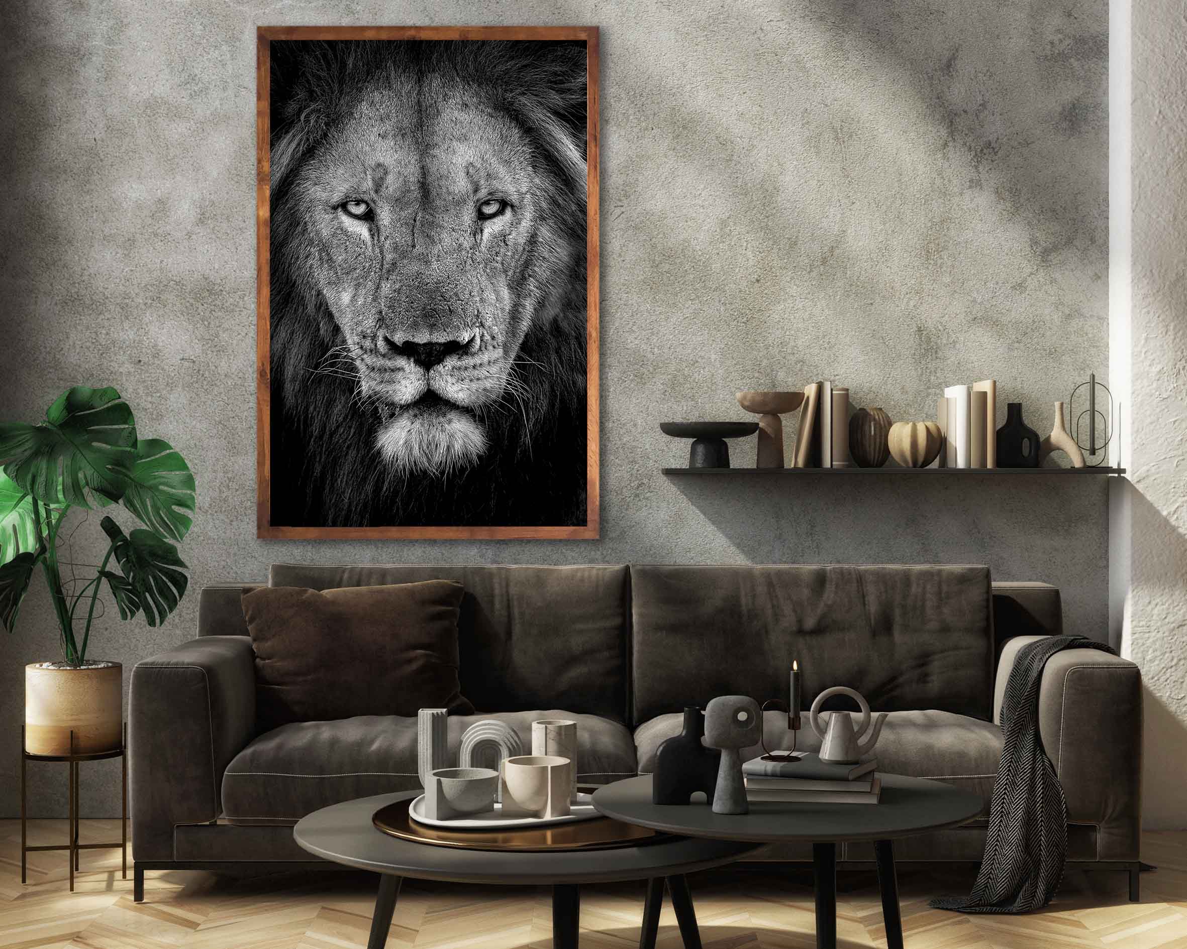 XL Photography 3 アートコレクション Power (limited edition) – African Artwork SA