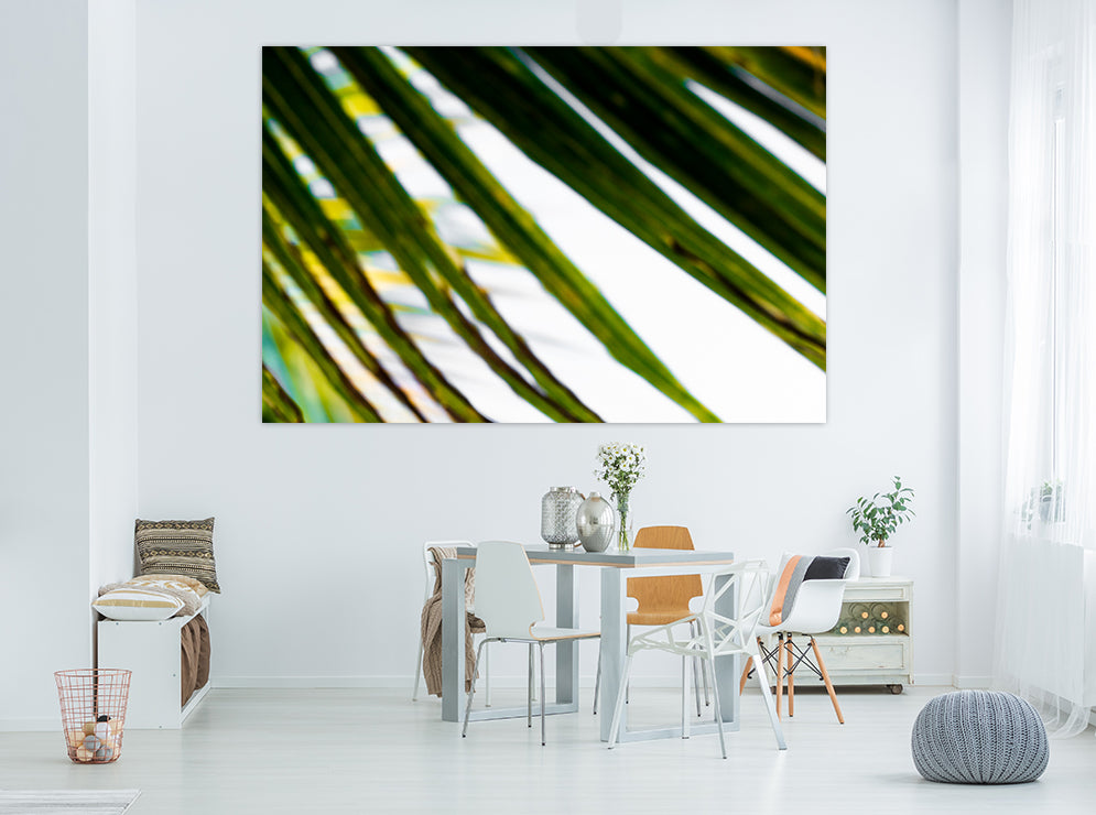 Botanical prints south africa