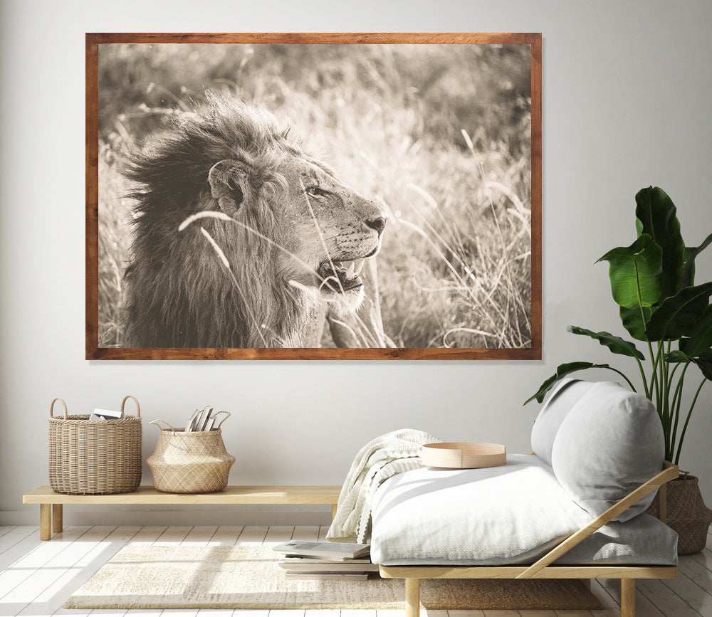 Wildlife prints online