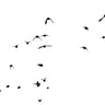 Abstract Flight