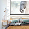 Elephant whisper (limited edition)
