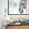 Elephant whisper (limited edition)