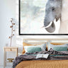 Elephant whisper (limited edition)
