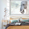 Elephant whisper (limited edition)