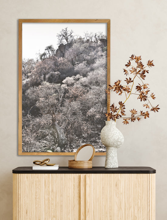 Growth-Light-Wood.jpg?v=
