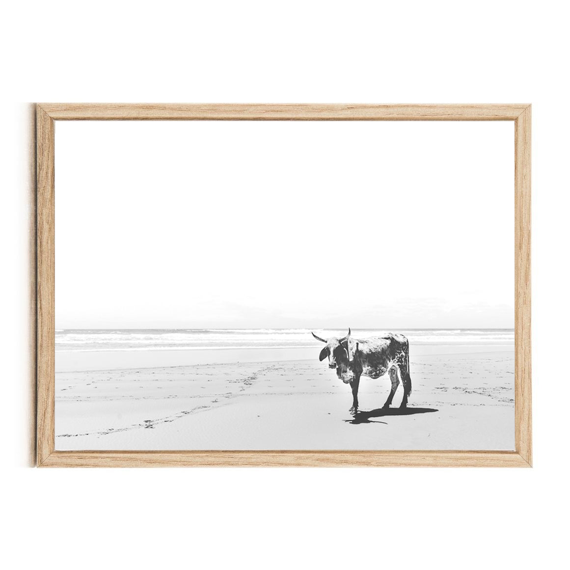 Wall art Nguni south africa online