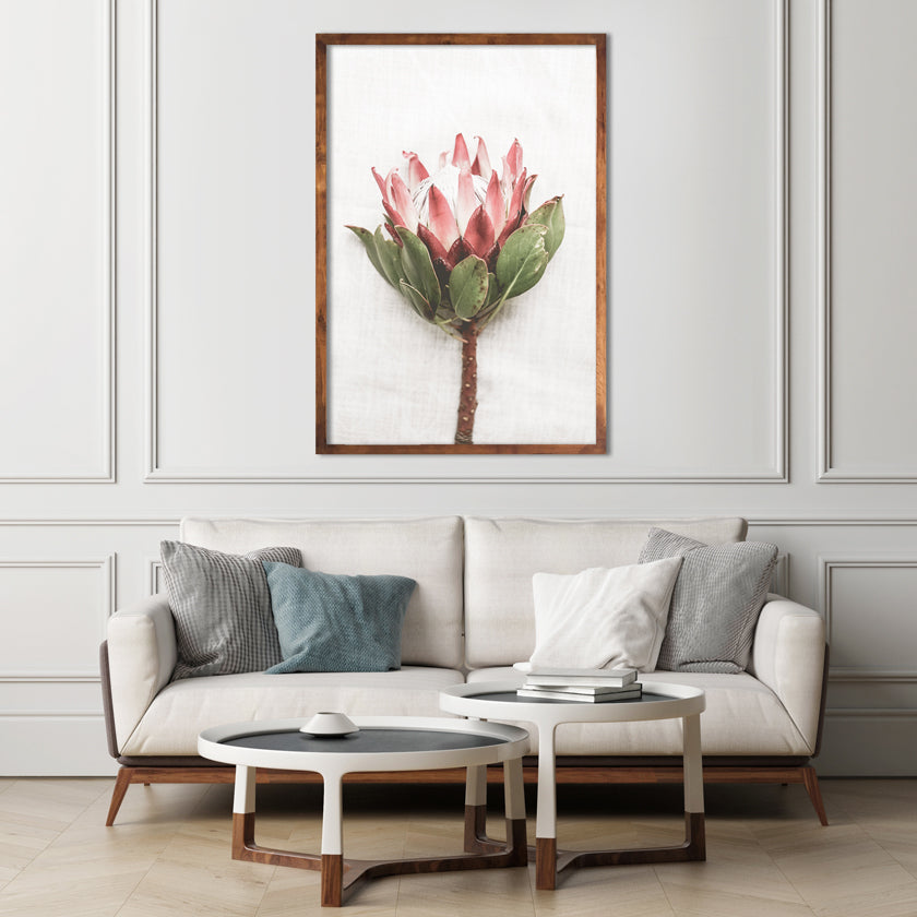 Pair of Proteas by African Artwork – African Artwork SA