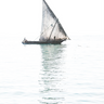 Float (Colour)