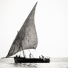 Changing winds