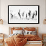 Turkana Camels