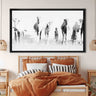 Turkana Camels