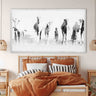 Turkana Camels