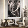 Tusks