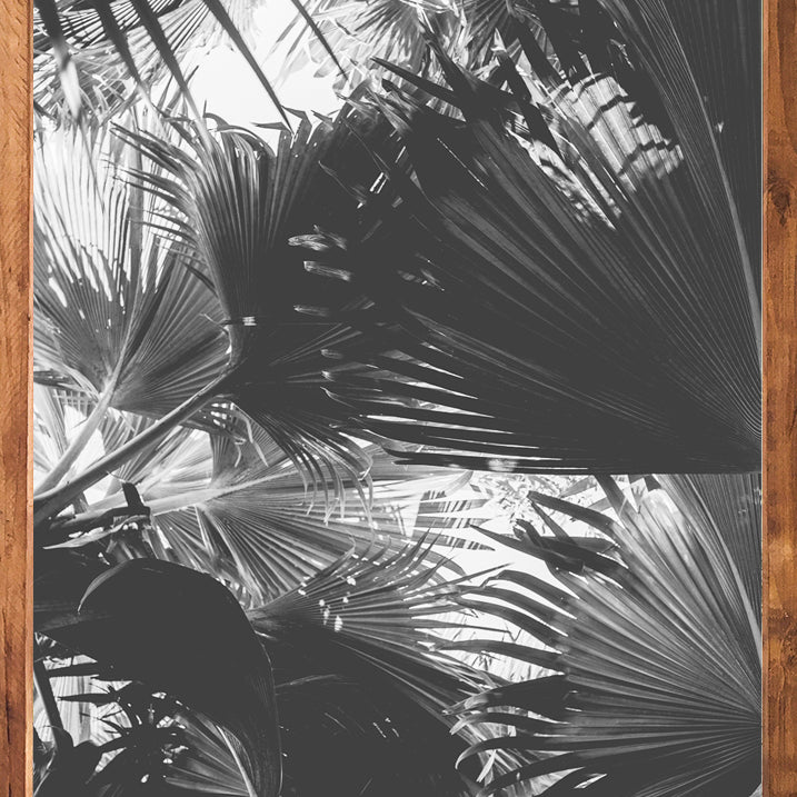 Tropical art south africa