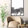 Walking Zebras