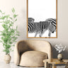 Walking Zebras