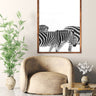 Walking Zebras