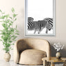 Walking Zebras