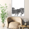 Walking Zebras