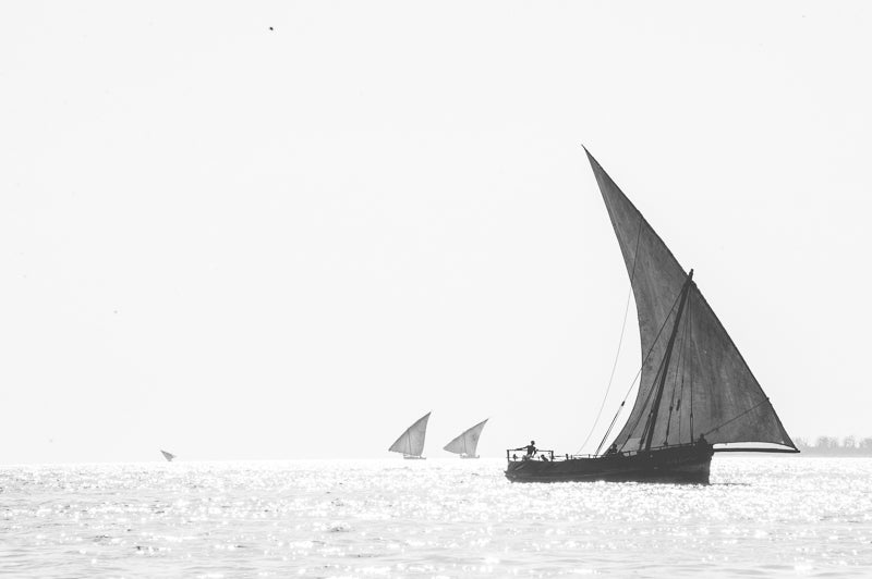 Zanzibar artwork for wall decor South Africa. Dhows in Black and white.