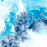 Seaweed imagery online
