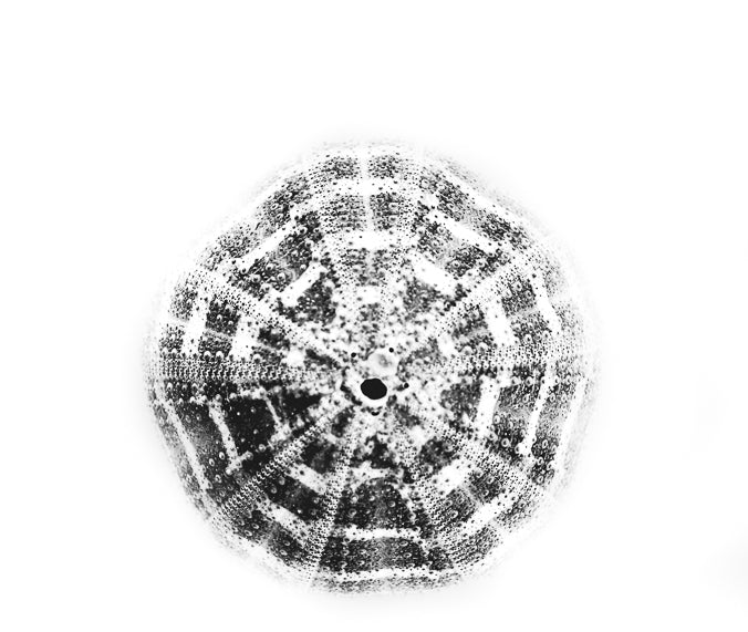 Online artwork