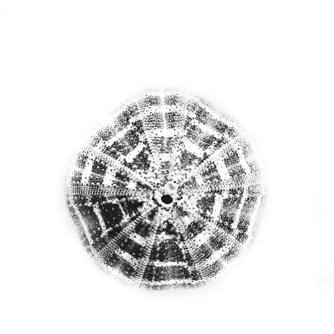 Online artwork