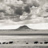 The march to water